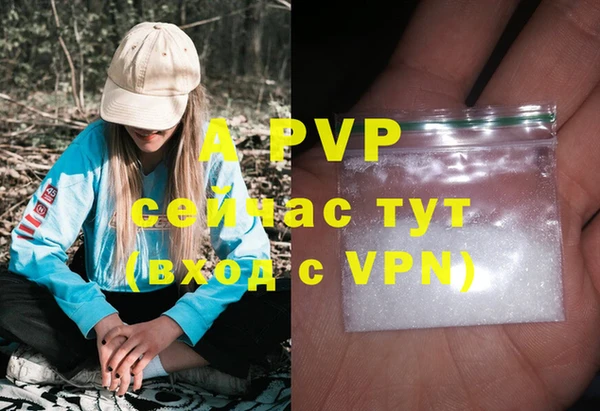 прущий лед Белокуриха