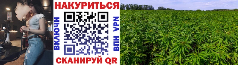 Бошки марихуана OG Kush  блэк спрут ТОР  Звенигород 